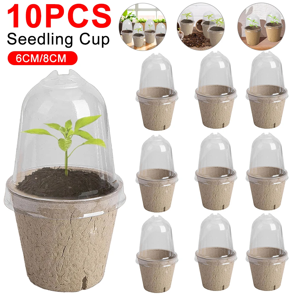 Peat Pellet Tray - 10pcs Garden Round Peat Pots Plant