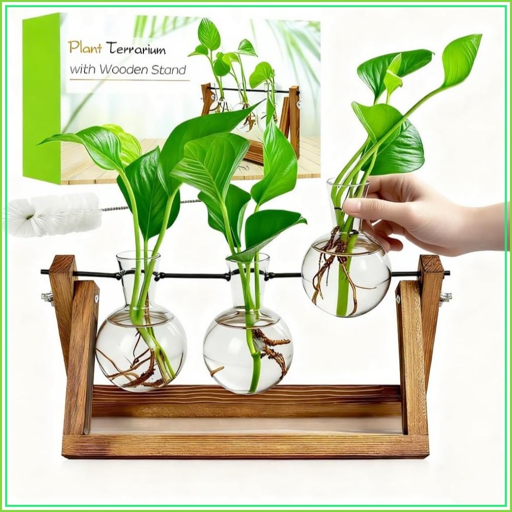 Propagation Station Vase - Plant Propagation Station with Wooden Stand