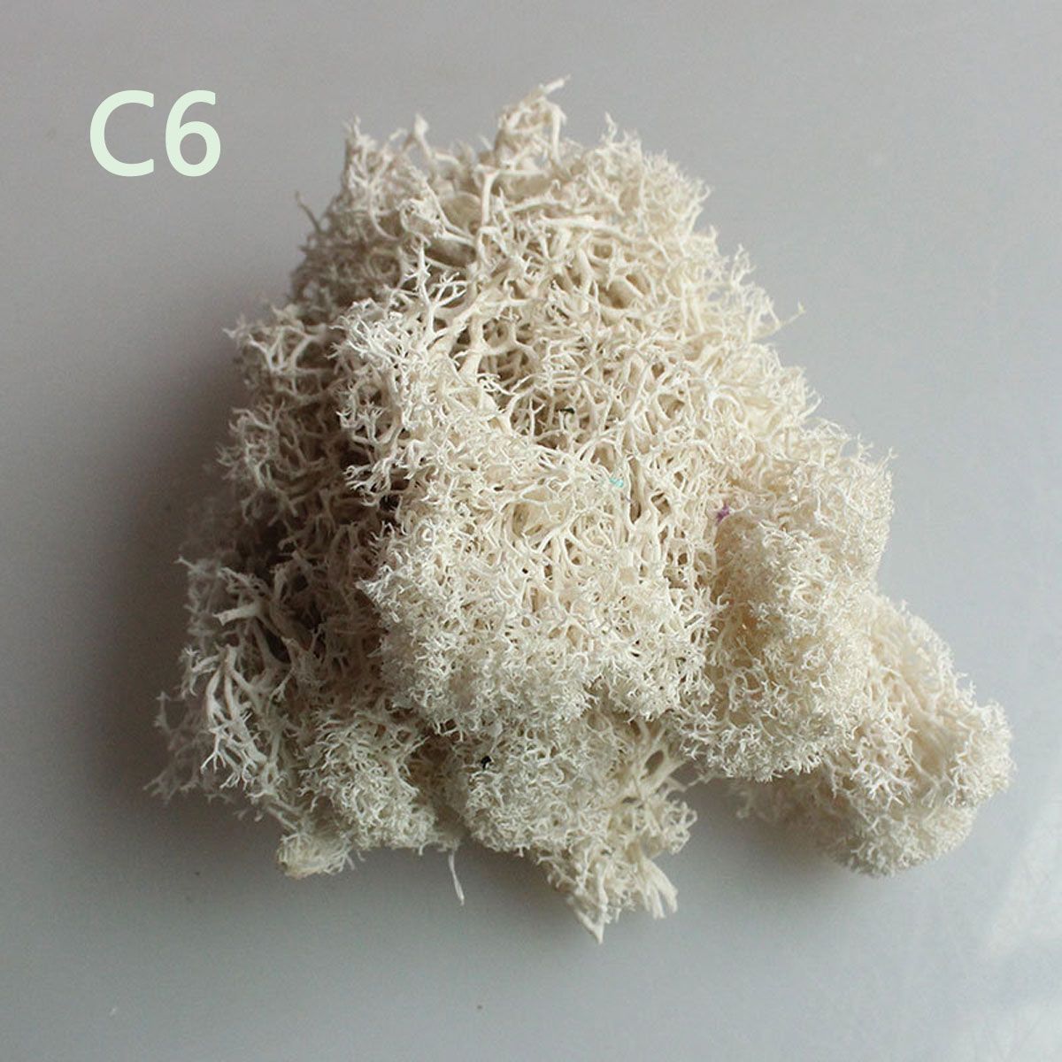 Sphagnum Moss Dry - Colorful DIY Home Decor Christmas Flower