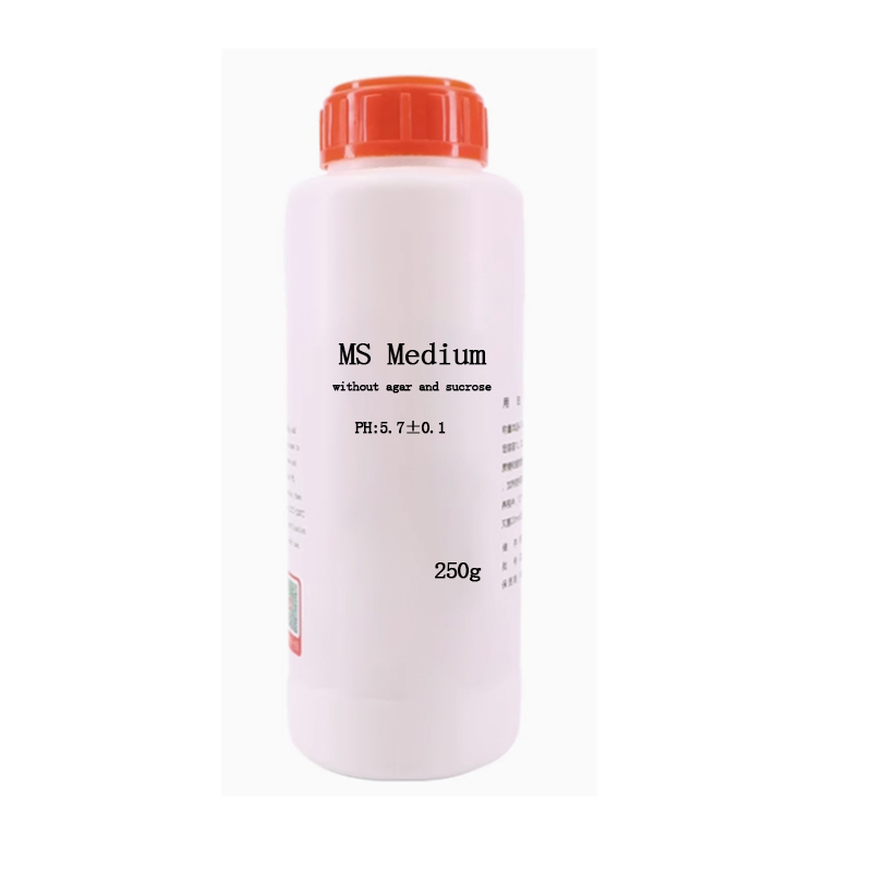MS medium Without Agar Or Sucr - Agar Tissue Culture บทวิจารณ์และราคา