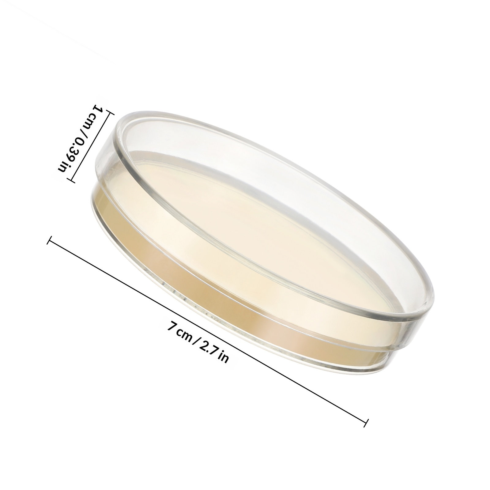 Agar Plates 10pcs Ready to Use - Agar Tissue Culture บทวิจารณ์และราคา