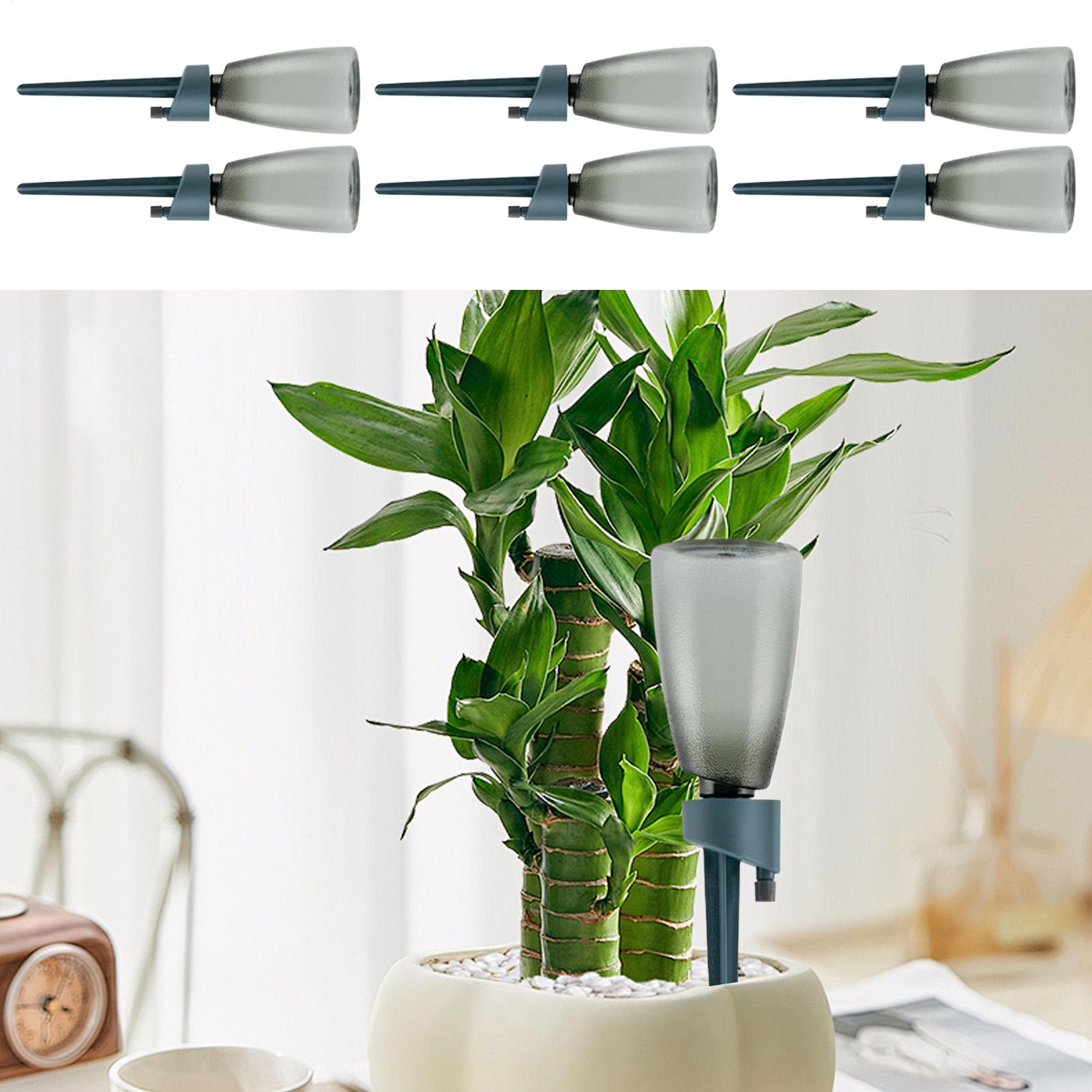 6pcs Automatic Waterer Househo - Self Watering Insert บทวิจารณ์และราคา