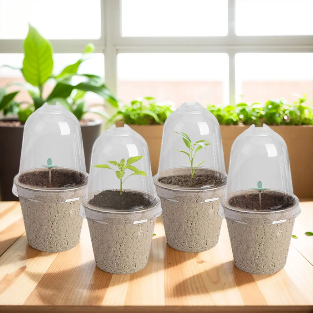 10pcs Garden Round Peat Pots P - Peat Pellet Tray บทวิจารณ์และราคา