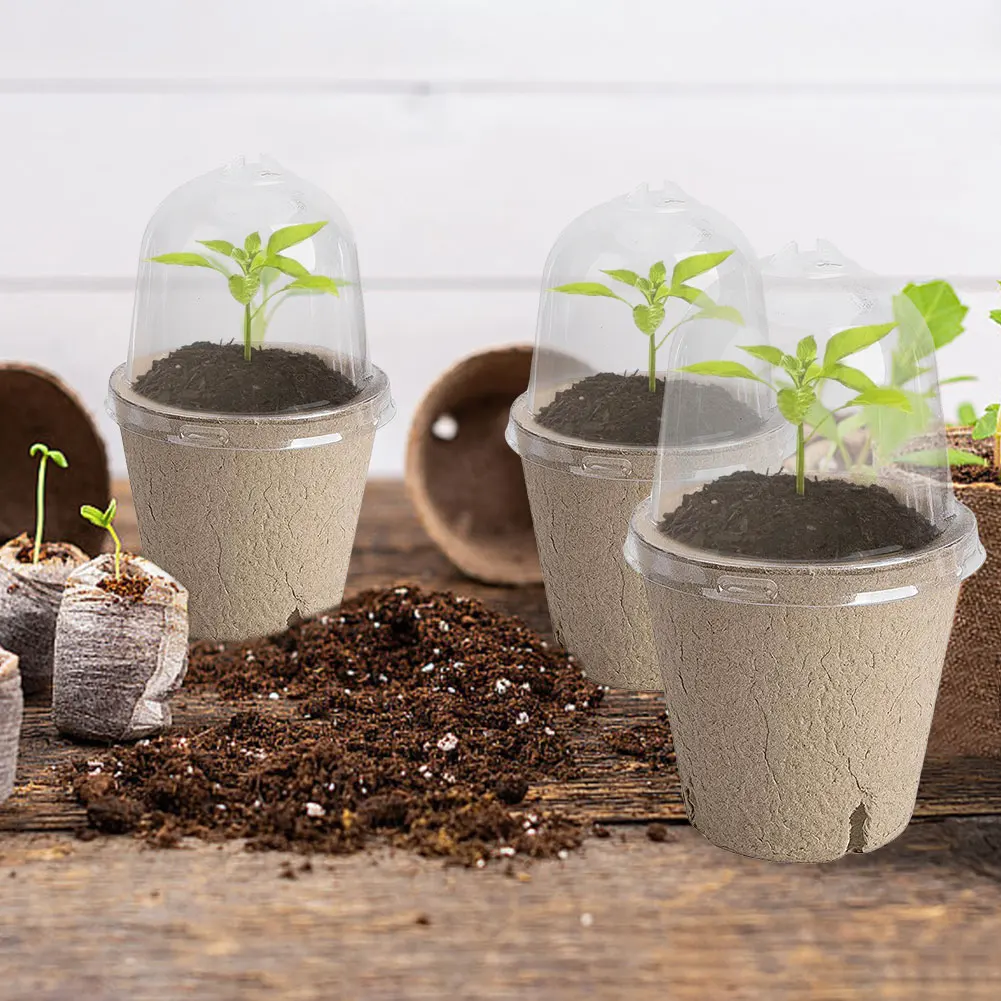 10pcs Garden Round Peat Pots P - Peat Pellet Tray บทวิจารณ์และราคา