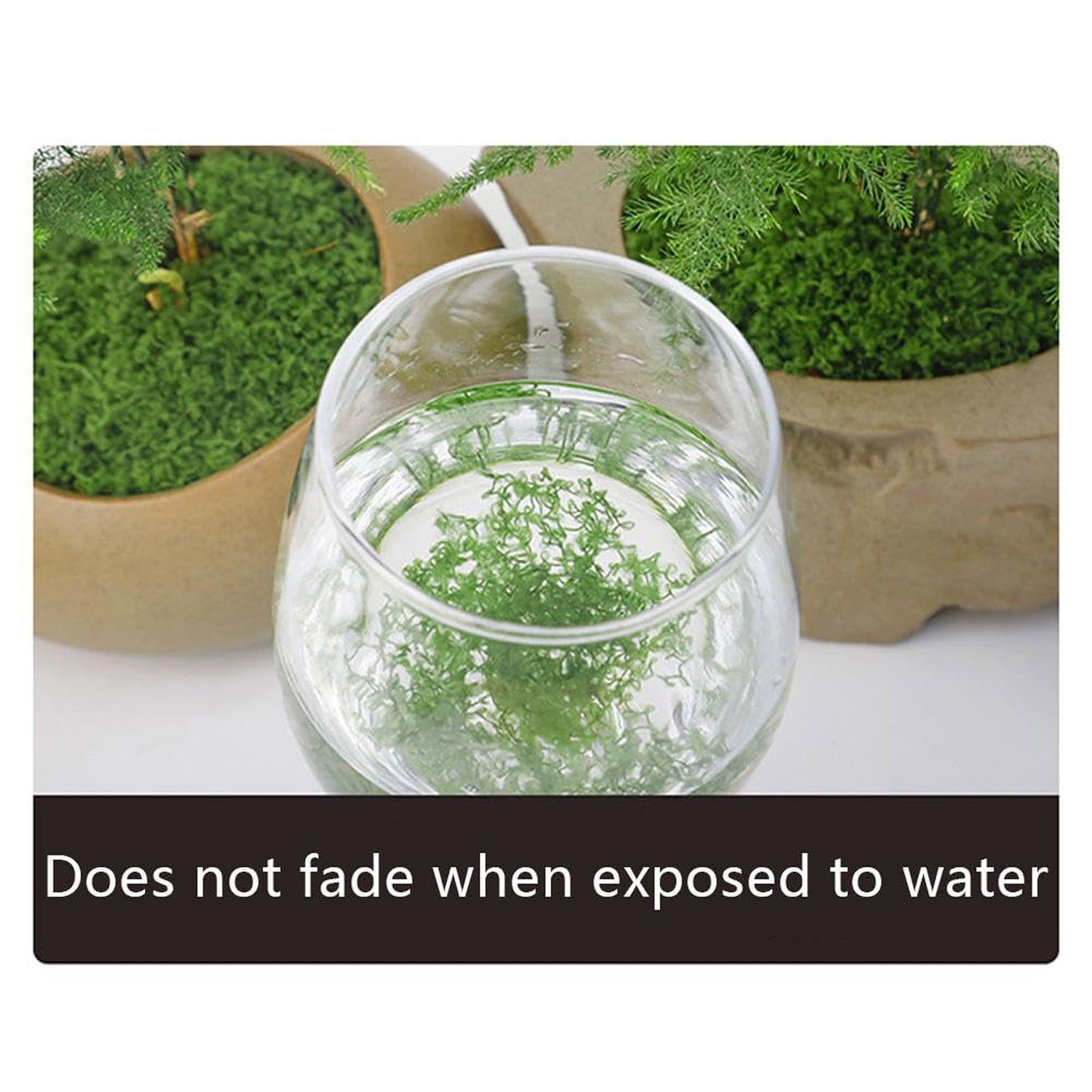 50/200g Artificial Moss For De - Sphagnum Moss Dry บทวิจารณ์และราคา