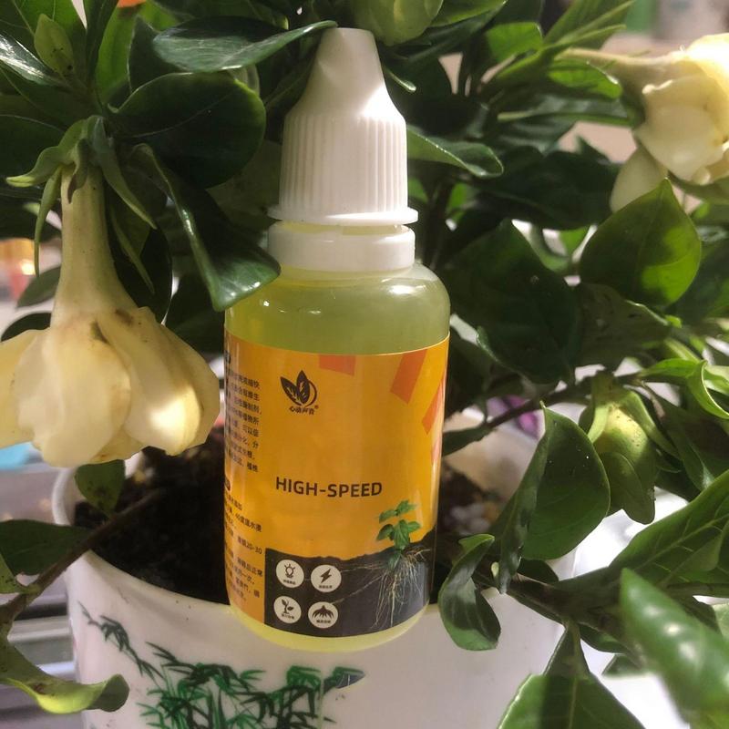 50ml Plant Root Stimulator Liq - Root Stimulator Liquid บทวิจารณ์และราคา