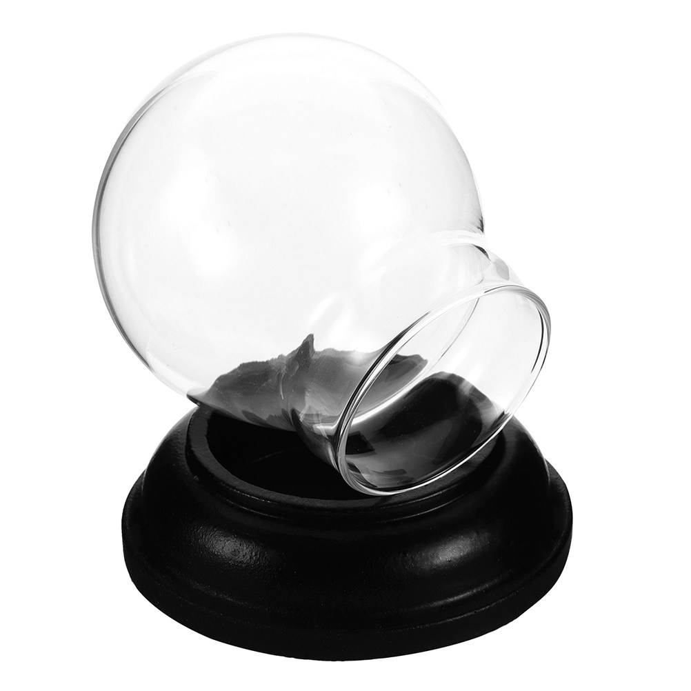 Empty Fillable Glass Snow Glob - Plastic Dome Clear บทวิจารณ์และราคา