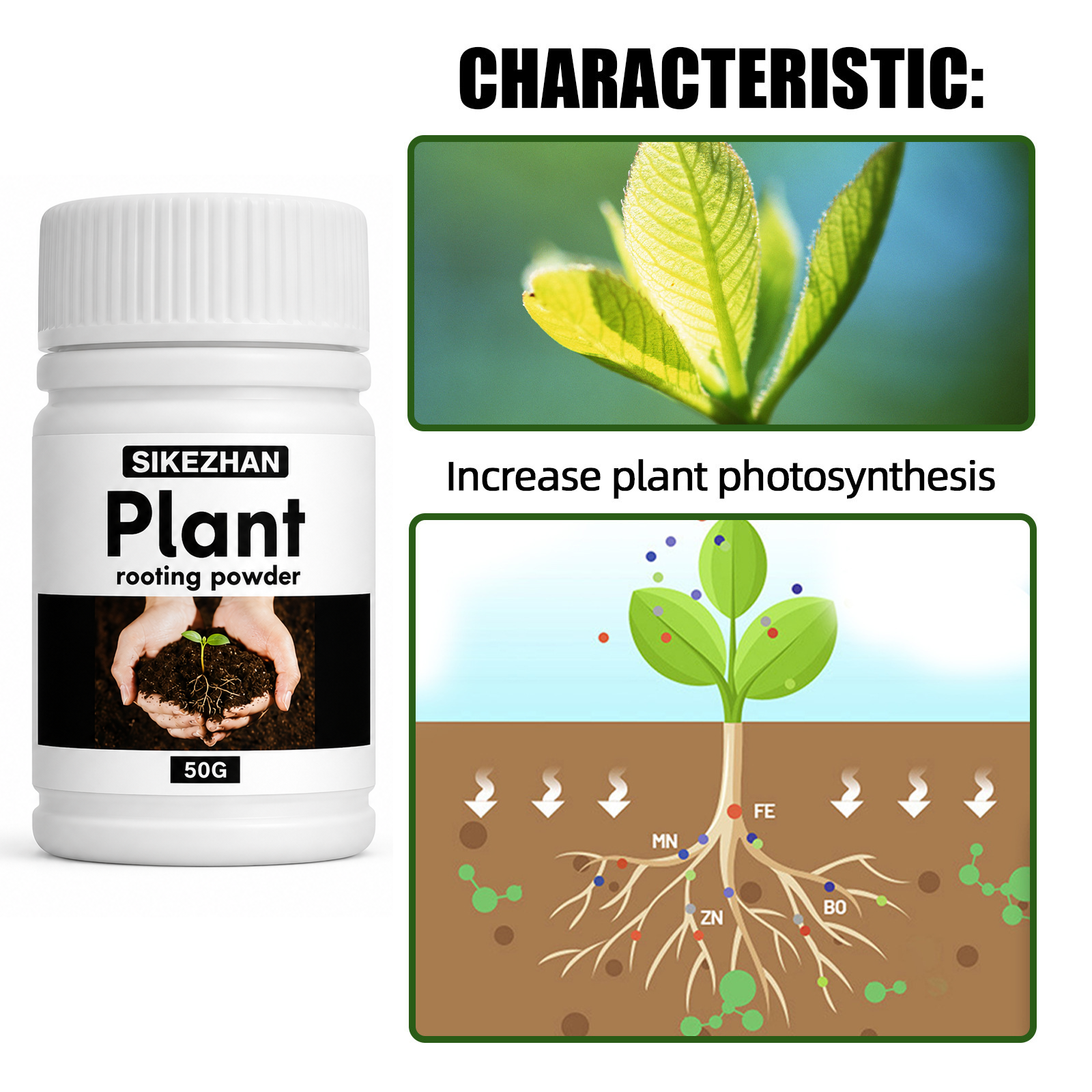 50g Rapid Rooting Powder Plant - Rooting Hormone Powder บทวิจารณ์และราคา