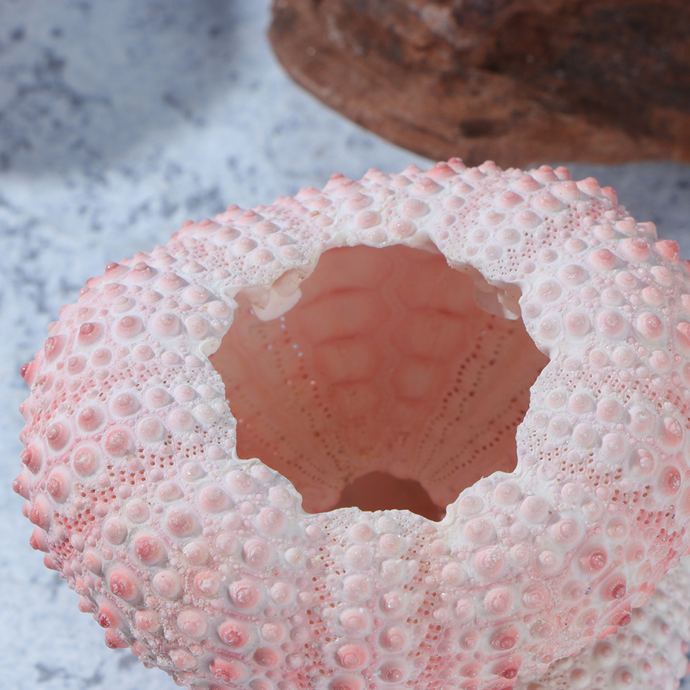 10Pcs DIY Jewelry Making Sea S - Propagation Station Vase บทวิจารณ์และราคา