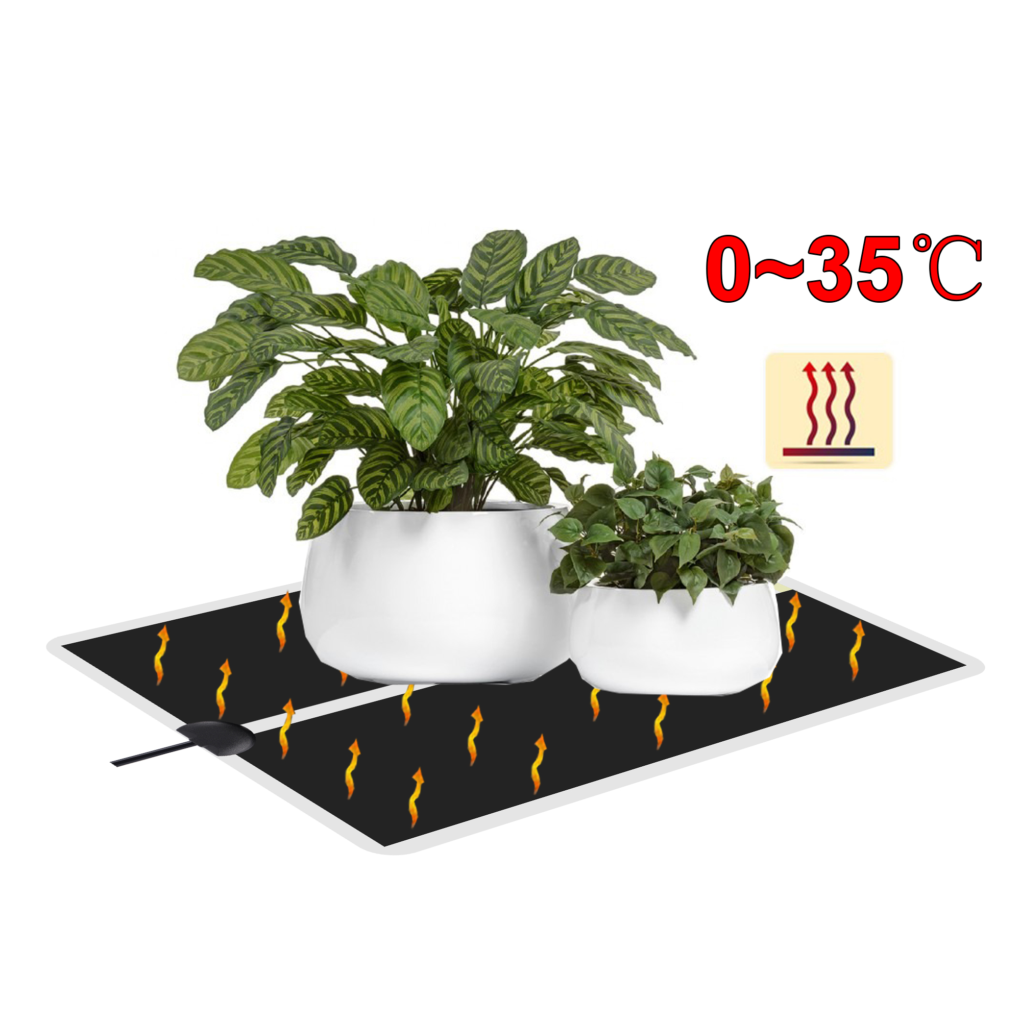 5~45W Seedling Heat Mat 220V~2 - Heat Mat Seedling บทวิจารณ์และราคา