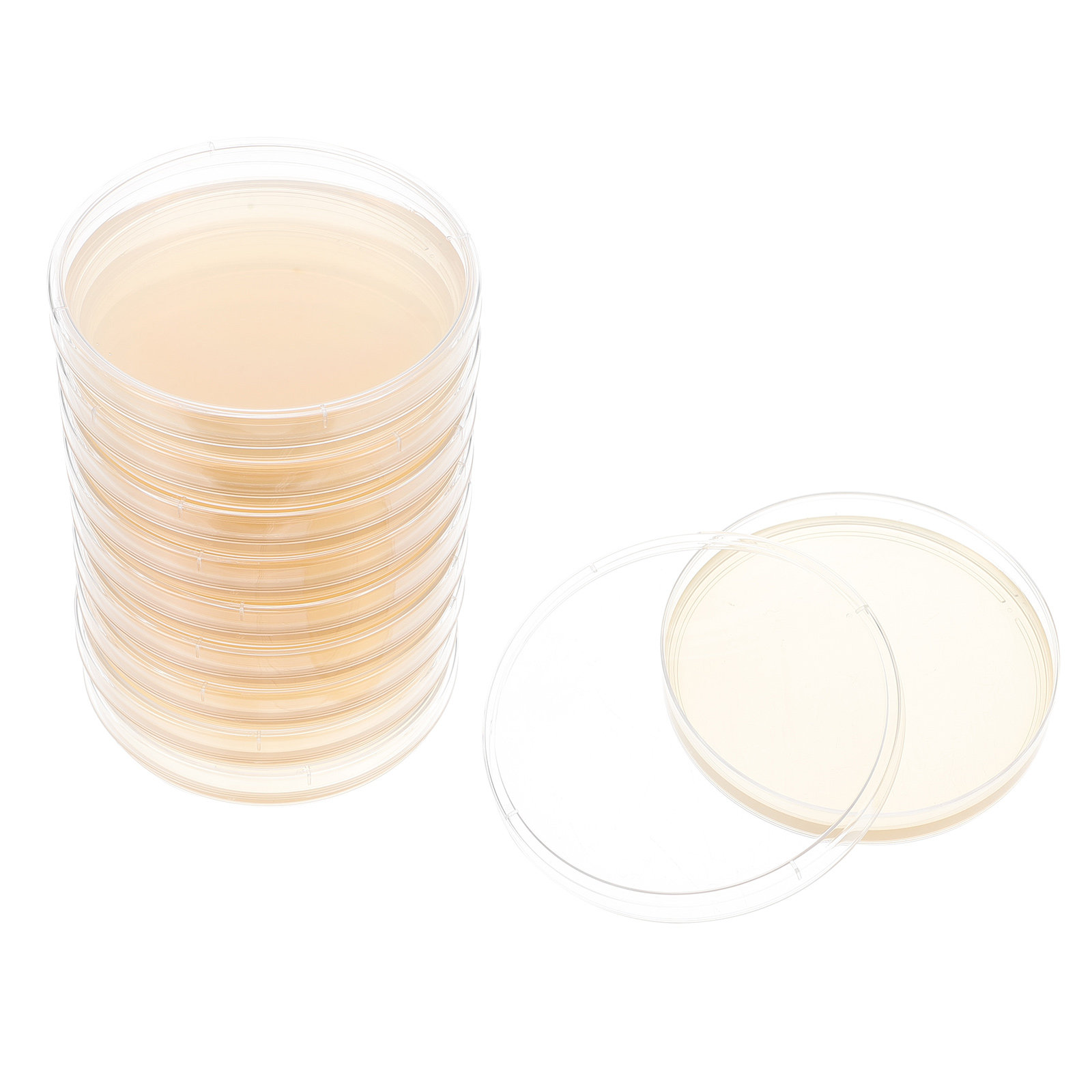 10pcs Nutrient Agar Plates Pre - Agar Tissue Culture บทวิจารณ์และราคา