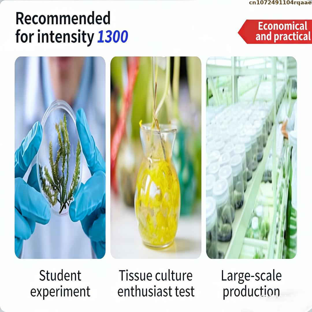 Premium Plant Tissue Culture A - Agar Tissue Culture บทวิจารณ์และราคา
