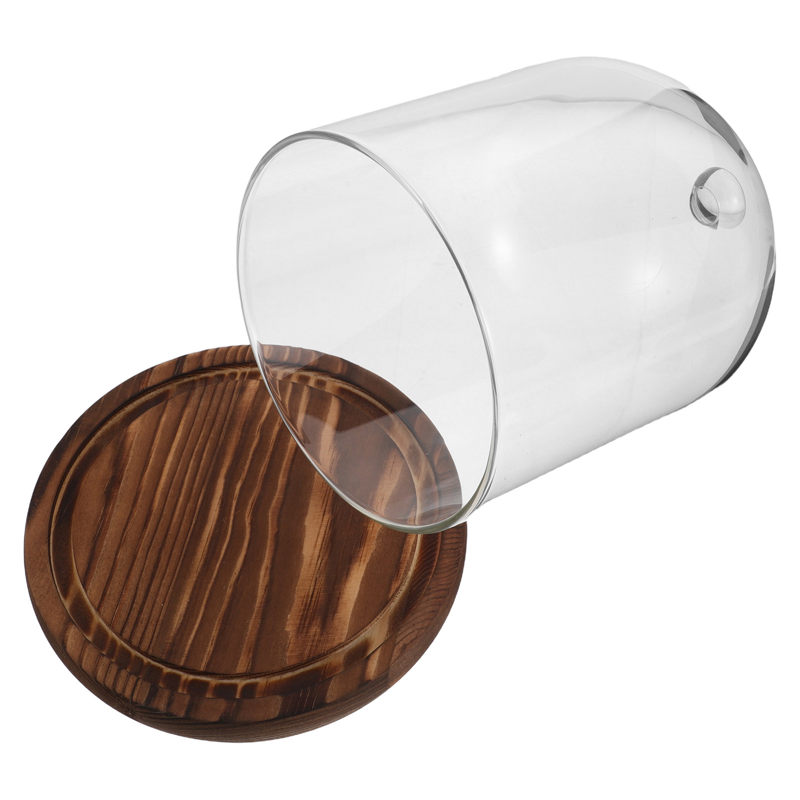Clear Glass Bell Jar Dome for  - Plastic Dome Clear บทวิจารณ์และราคา