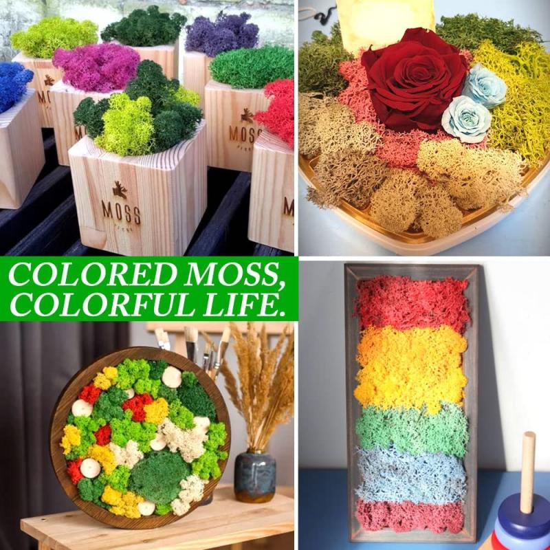 New 50/30/10g Artificial Green - Sphagnum Moss Dry บทวิจารณ์และราคา