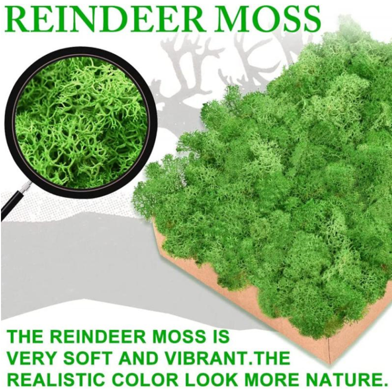 New 50/30/10g Artificial Green - Sphagnum Moss Dry บทวิจารณ์และราคา