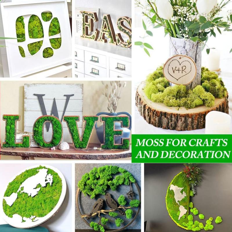 New 50/30/10g Artificial Green - Sphagnum Moss Dry บทวิจารณ์และราคา