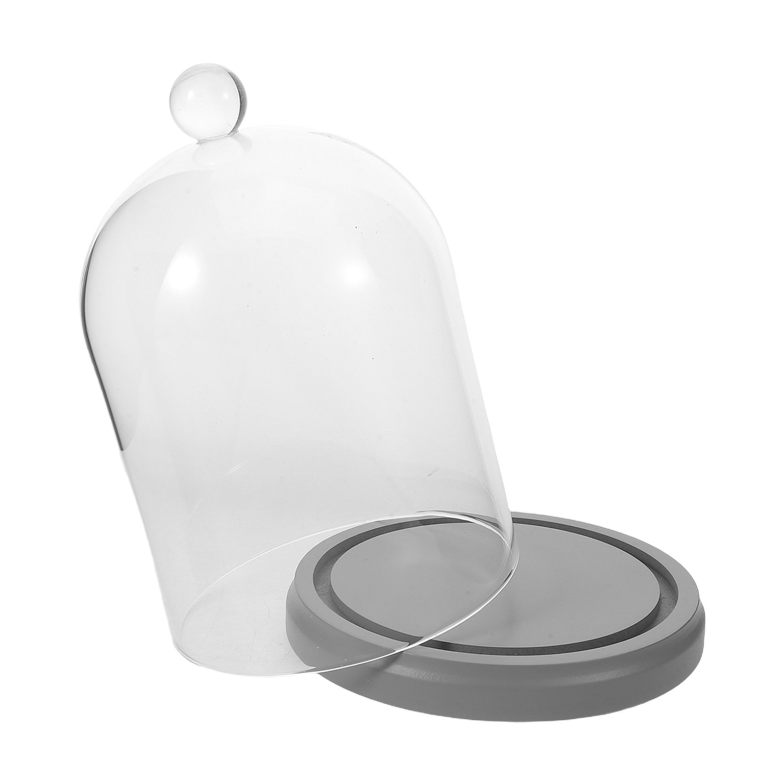 Glass Cloche Dome Transparent  - Plastic Dome Clear บทวิจารณ์และราคา
