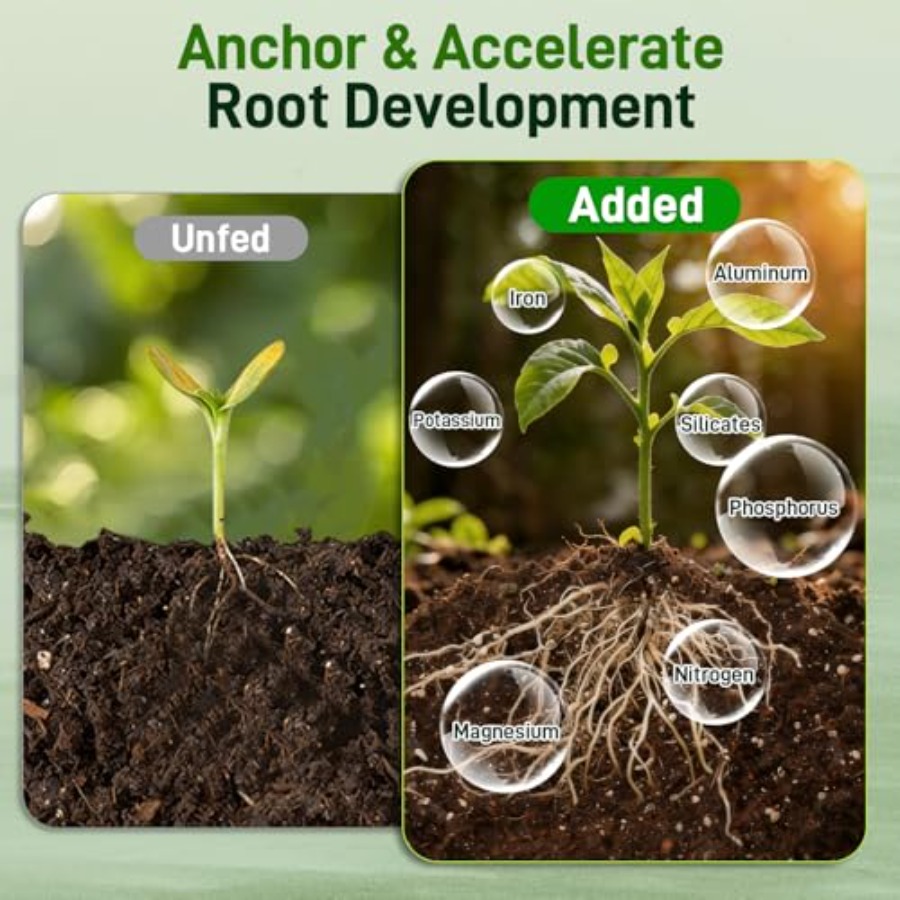 2 Mix for Indoor Plants - Cont - Coco Perlite Mix บทวิจารณ์และราคา