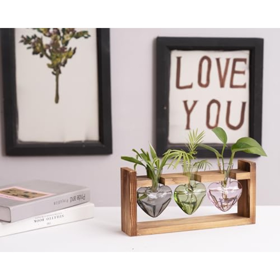 3-Heart Plant Terrarium Kit -  - Propagation Station Vase บทวิจารณ์และราคา
