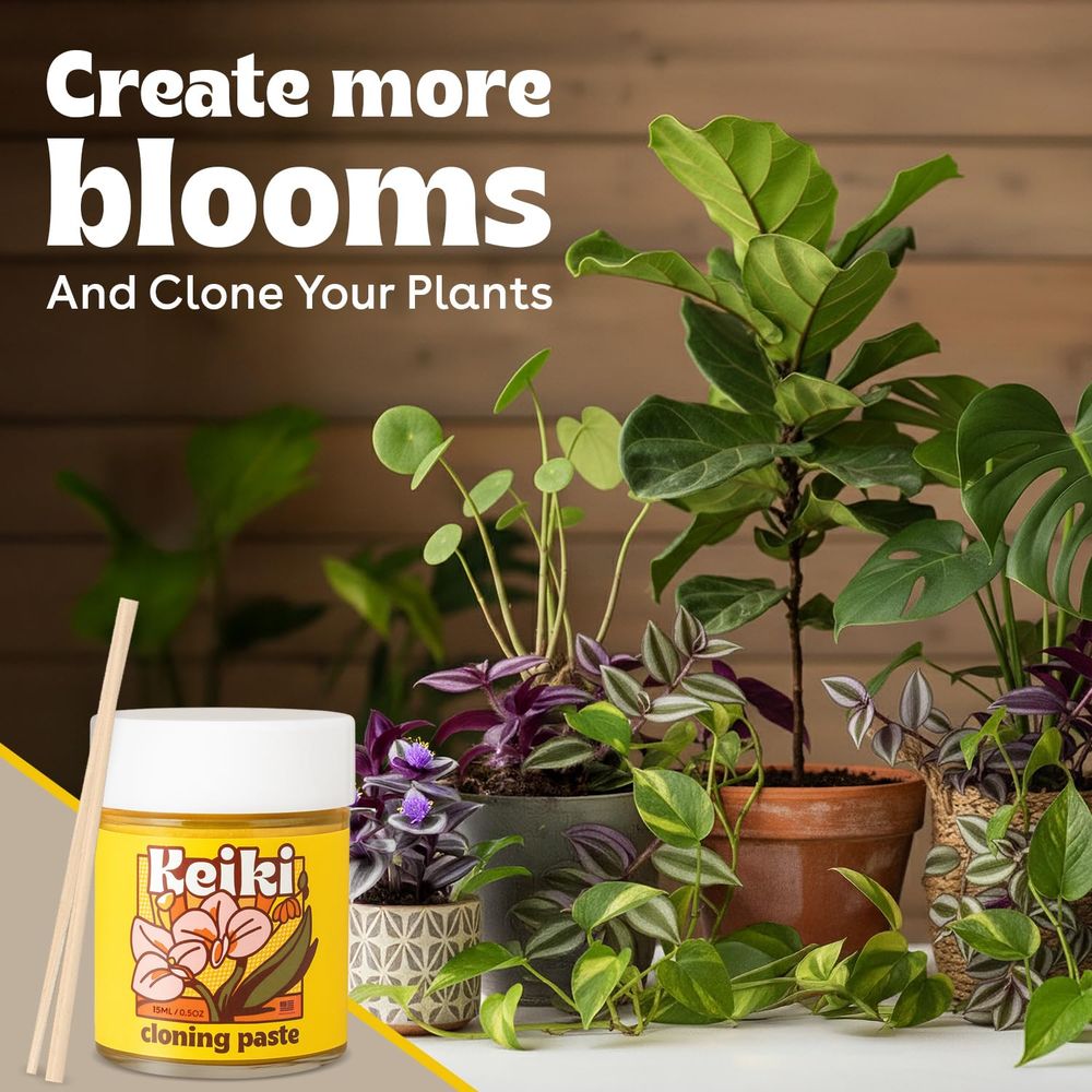 Paste or Plants to Clone & Cre - Rooting Gel Clone บทวิจารณ์และราคา