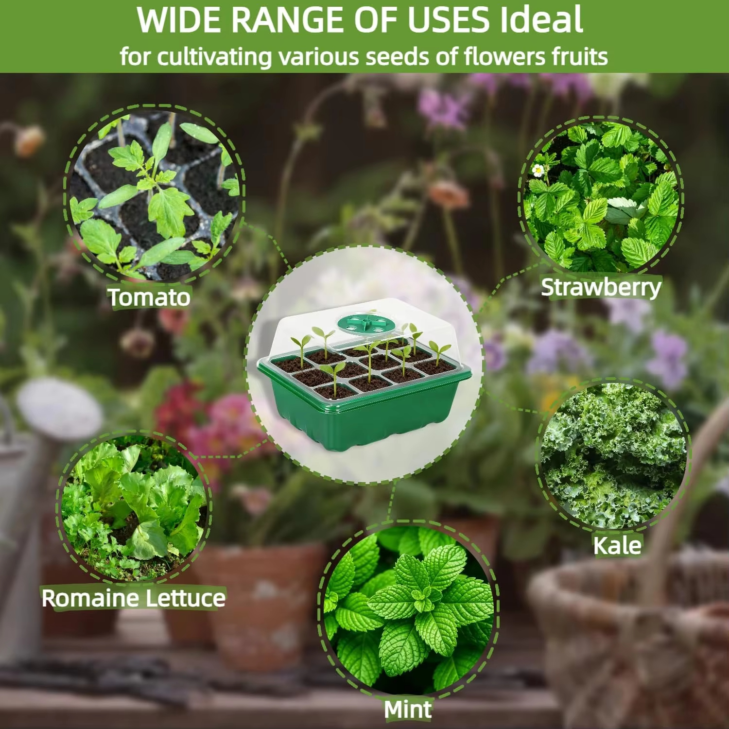 3Pcs Seed Starter Tray Mini Gr - Humidity Dome Kit บทวิจารณ์และราคา