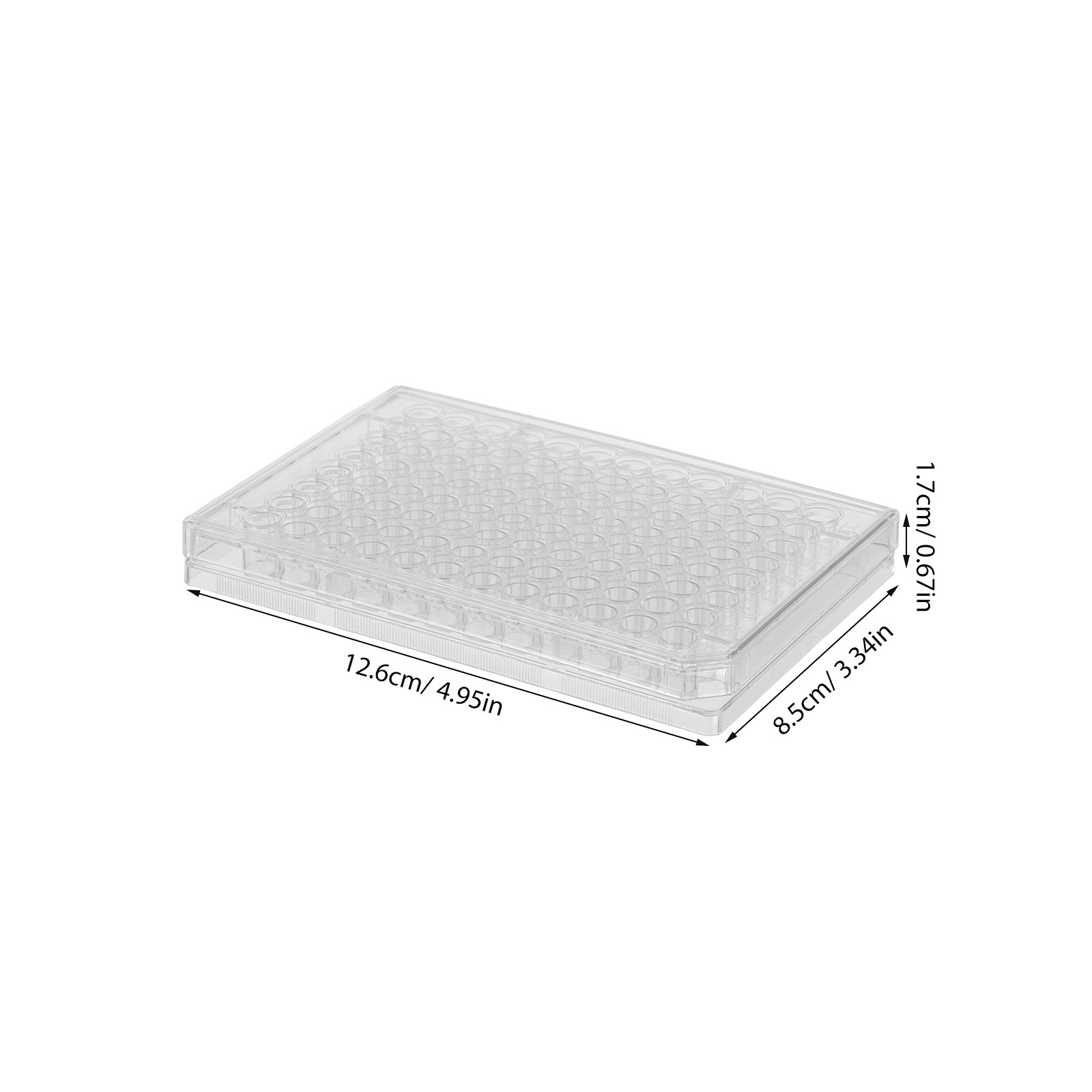 10Pcs Cell Culture Plates Tran - Agar Tissue Culture บทวิจารณ์และราคา