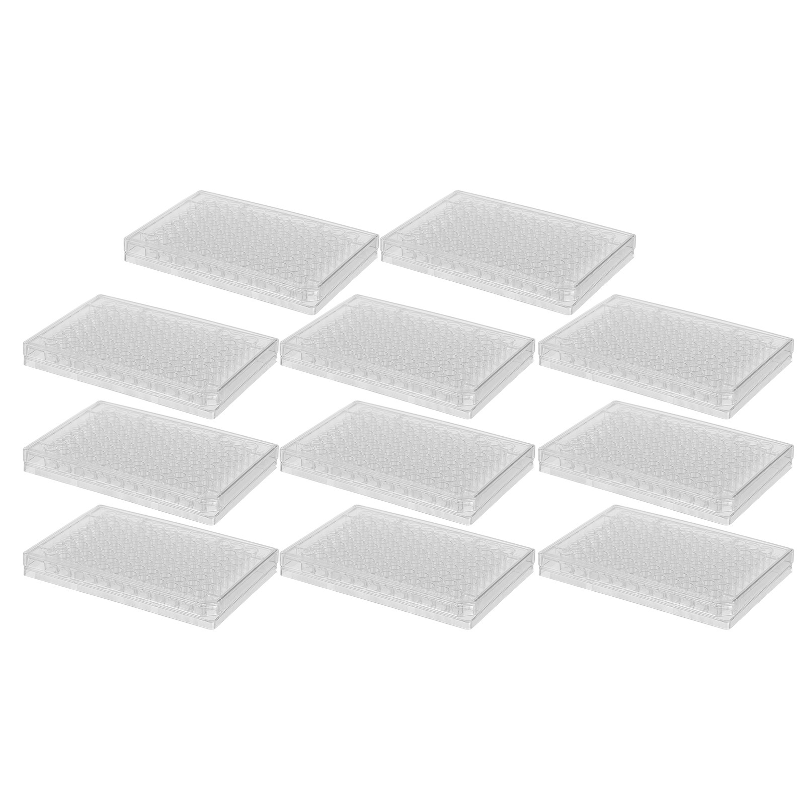 10Pcs Cell Culture Plates Tran - Agar Tissue Culture บทวิจารณ์และราคา