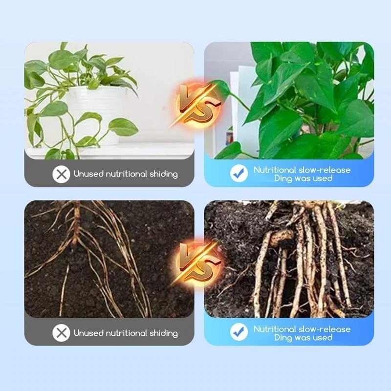 500g High-strength Rooting Hor - Rooting Hormone Powder บทวิจารณ์และราคา