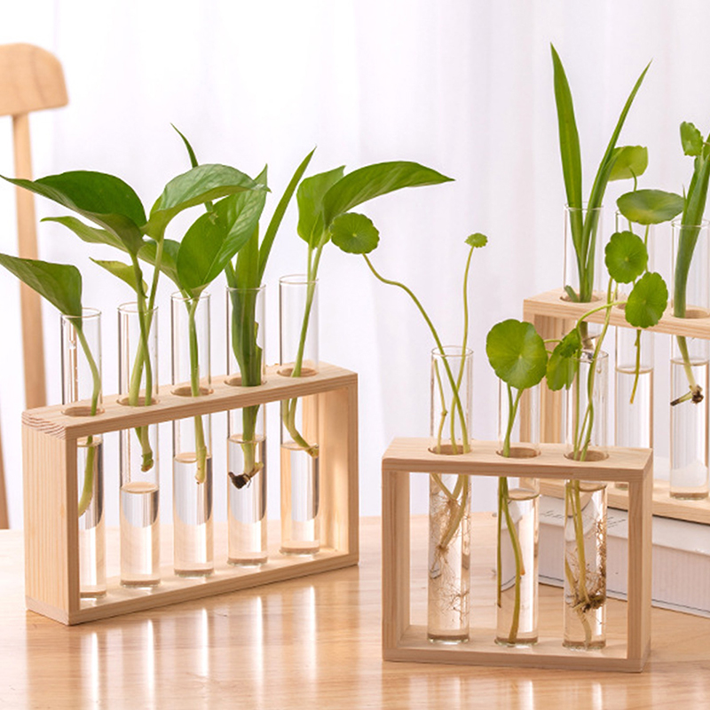 Hydroponic Plants Container wi - Propagation Station Vase บทวิจารณ์และราคา