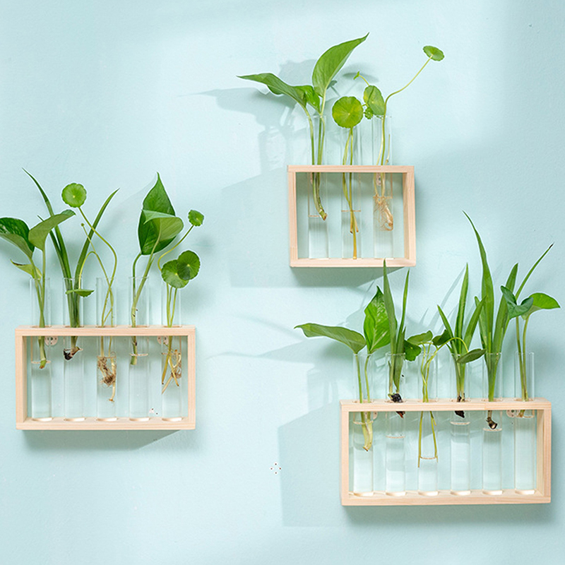 Hydroponic Plants Container wi - Propagation Station Vase บทวิจารณ์และราคา