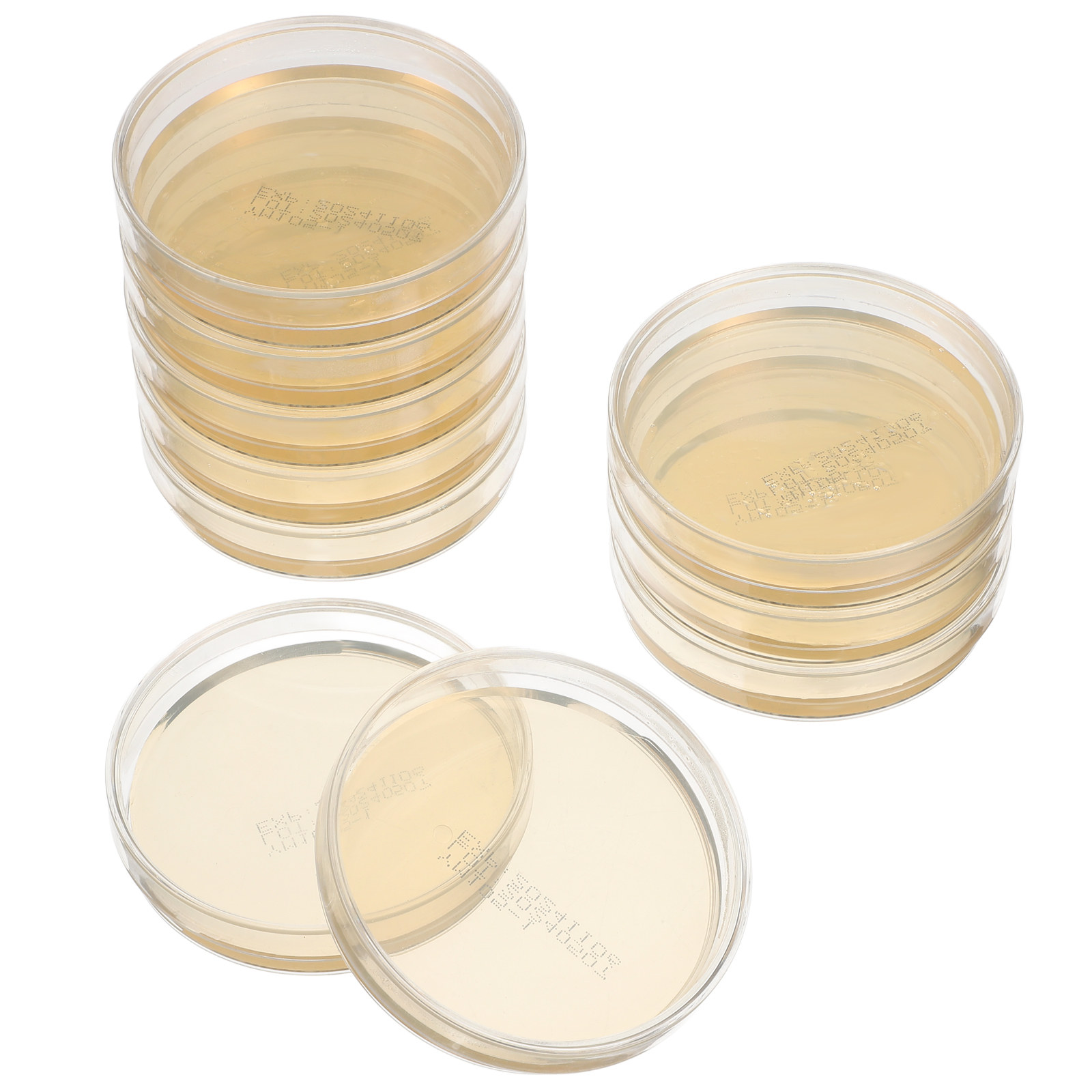10pcs Pre-filled Agar Plates P - Agar Tissue Culture บทวิจารณ์และราคา