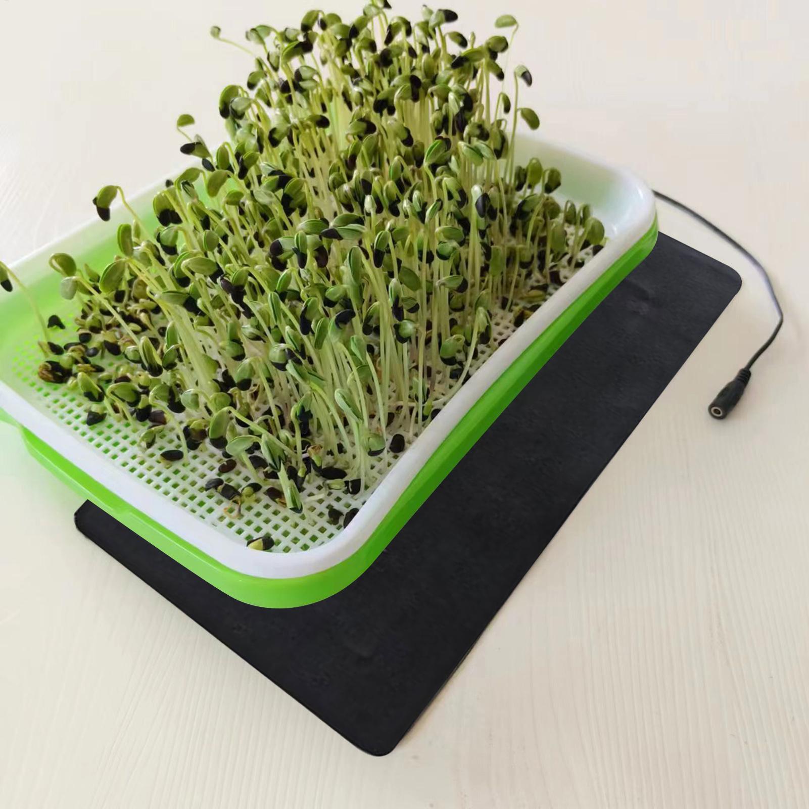 Seedling Heat Mat 5V 2A 8.5W P - Heat Mat Seedling บทวิจารณ์และราคา